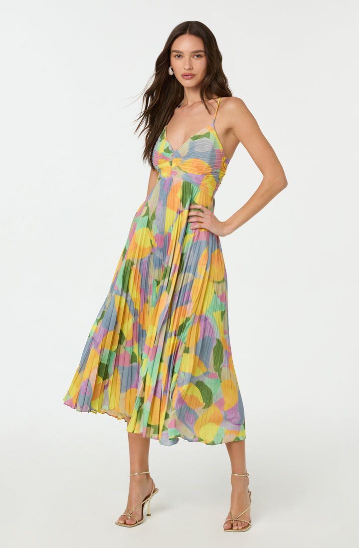 Lisa Pleated Floral Print Maxi Dress