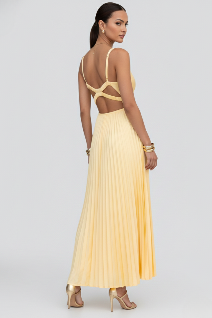 Sophia Women’s V-Neck Pleated Skirt Maxi Dress