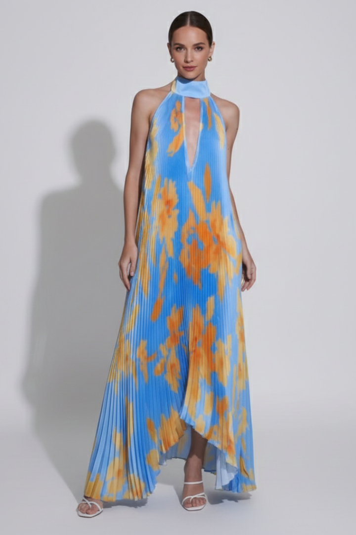 Darcey Women’s Sleeveless Pleated Skirt Maxi Dress