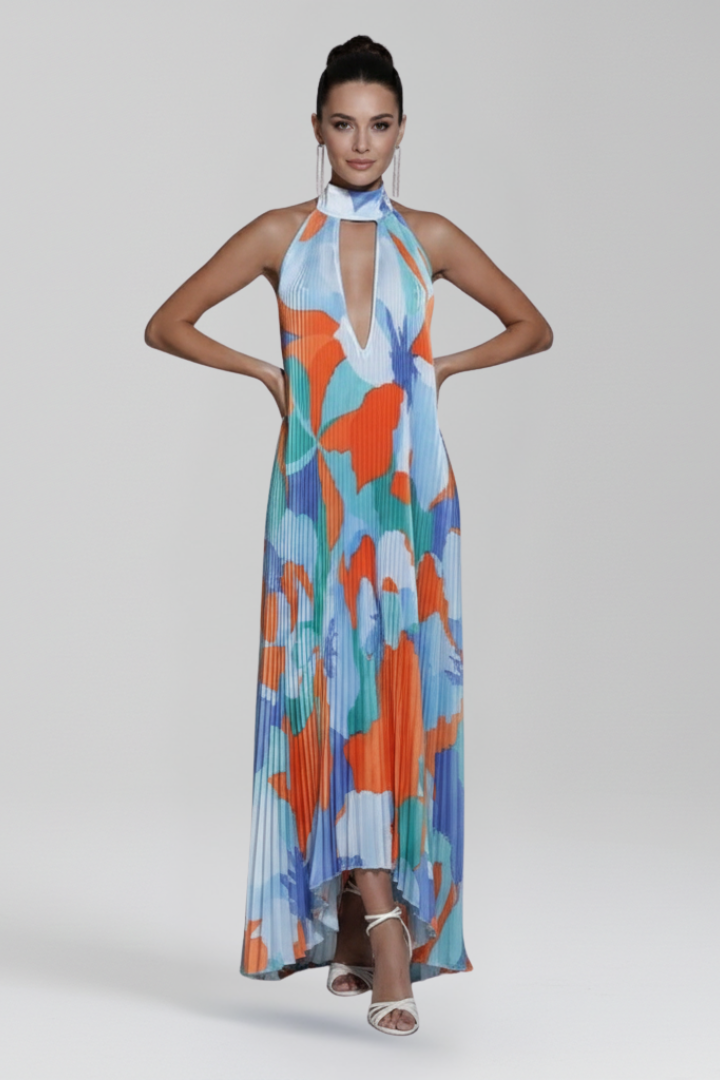 Darcey Women’s Sleeveless Pleated Skirt Maxi Dress